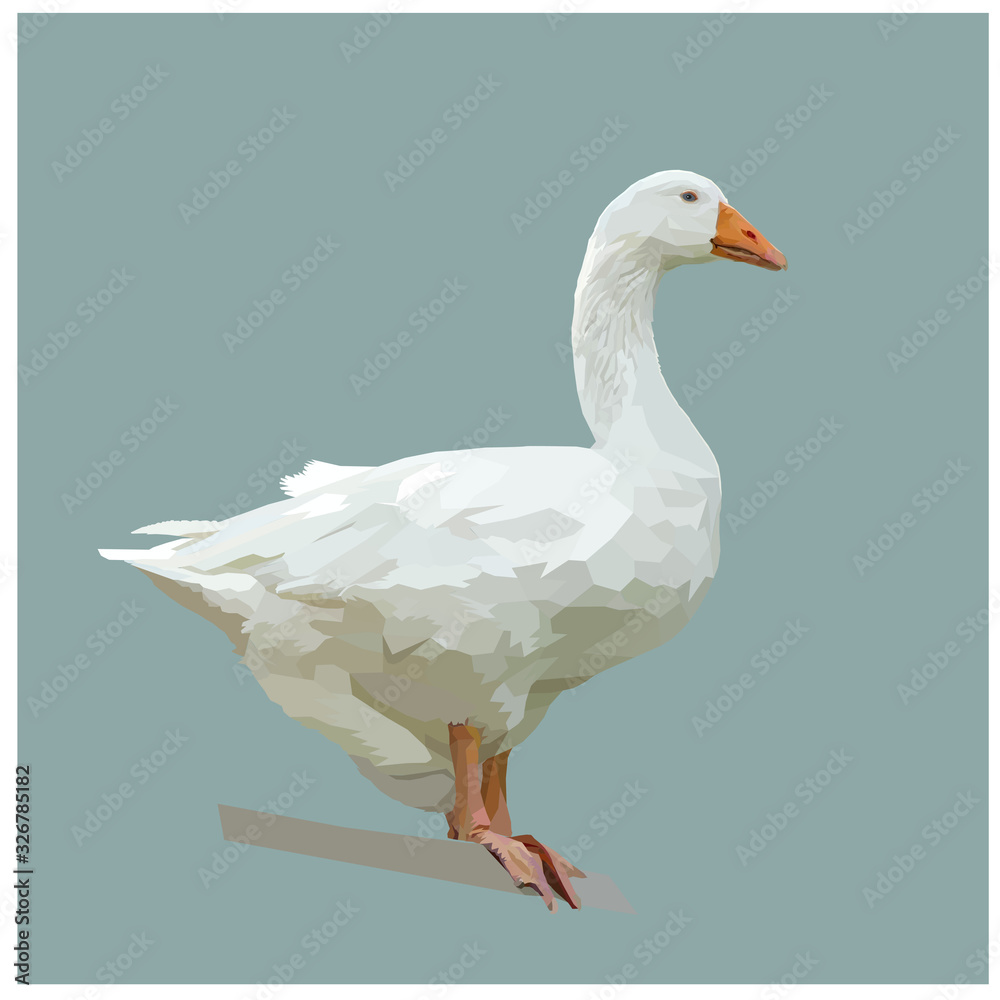 Obraz premium Low Poly, vector illustration White goose