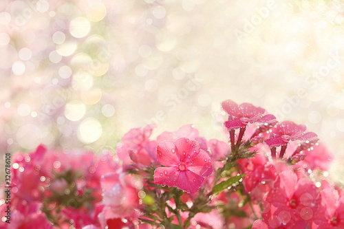 Abstract floral spring defocused background in pastel colors with soft focus and bokeh. Banner for the screen, a beautiful bright greeting card or invitation,  © Светлана Балынь