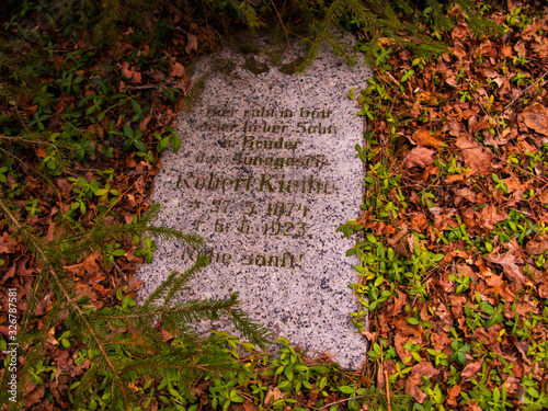 Stary zapomniany cmentarz w sosnowym lesie.