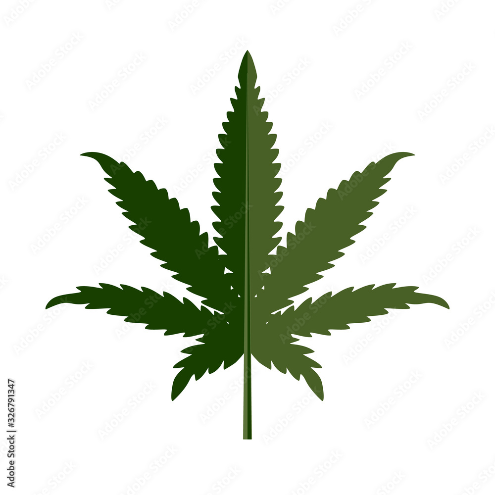 Cannabis leaves, icon. Vector illustration on a white background. Cannabis leaves, icon. Vector illustration on a white background.