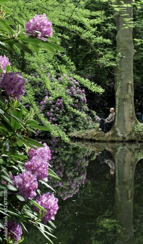 Fototapeta Naklejka Na Ścianę i Meble -  Mann erholt sich im Park mit Rhododendron