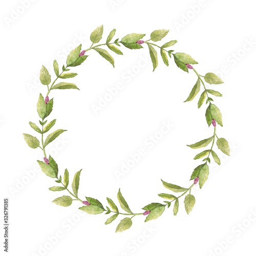 Fototapeta Naklejka Na Ścianę i Meble -  Wreath of hand made watercolor drawing of a flower on a white background. Use for menus, invitations, menus, weddings