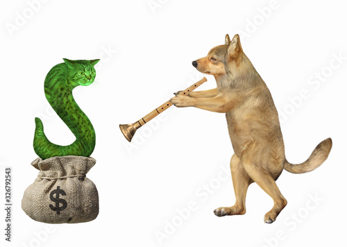 The beige dog is playing the flute. The big green cat snake is getting out of a sack with american dollars. White background. Isolated.
