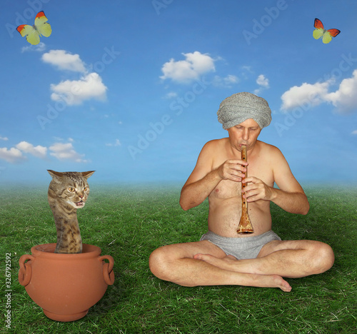 The snake charmer is playing with a big beige cat snake on the grass in the meadow. Butterflies are flying nearby.