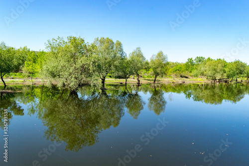reflection of trees in water