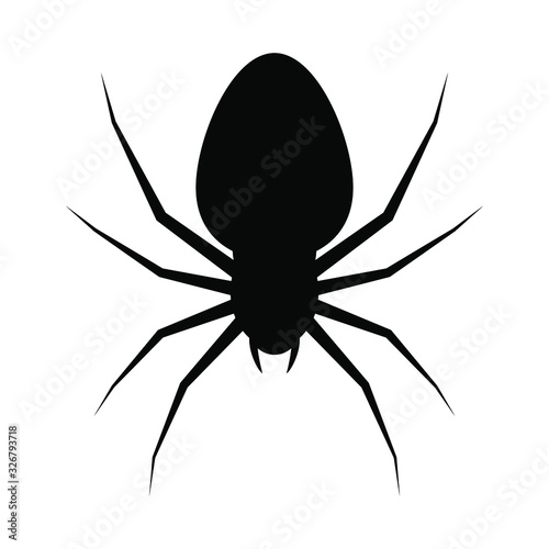 Spider silhouette isolated on white background. Spider logo template. Spider icon. Vector Illustration