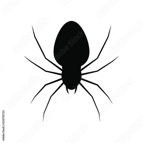 Spider silhouette isolated on white background. Spider logo template. Spider icon. Vector Illustration