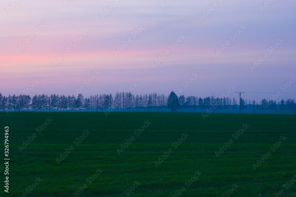 Landscape with sunset evening red sky with fog in the distance trees countryside