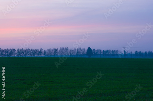 Landscape with sunset evening red sky with fog in the distance trees countryside