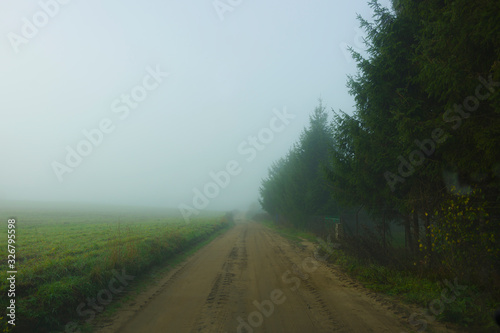 Road among trees during fog, foggy landscape, autumn, mood, seasons © Krzysztof