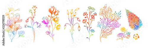 A set of wildflowers. Mixed media. Vector illustration