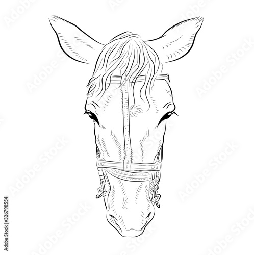 The horse head. Sketch art. Sad emotion.