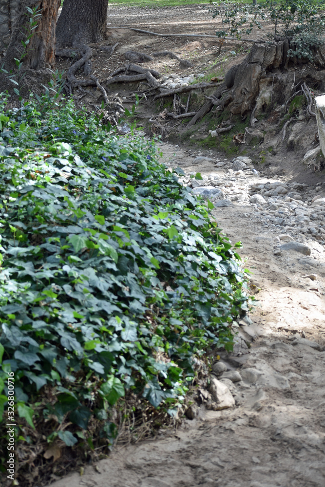 Obraz premium Dry Creek Bed