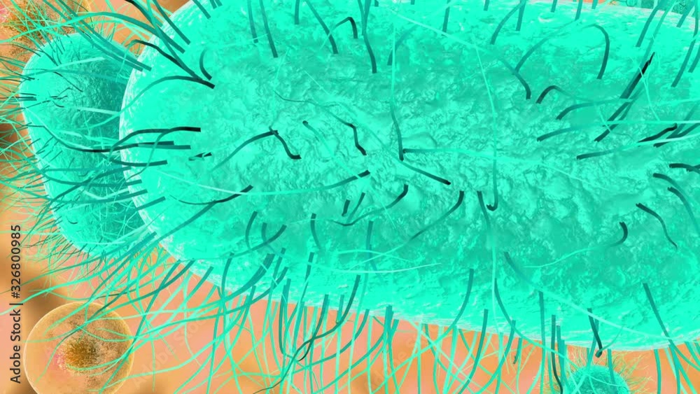 3D animation of peering inside a microorganism cell. The camera passes through the cell membrane shows the organelles and DNA helix. 3D animation of peering inside a microorganism cell. The camera passes through the cell membrane shows the organelles and DNA helix.
