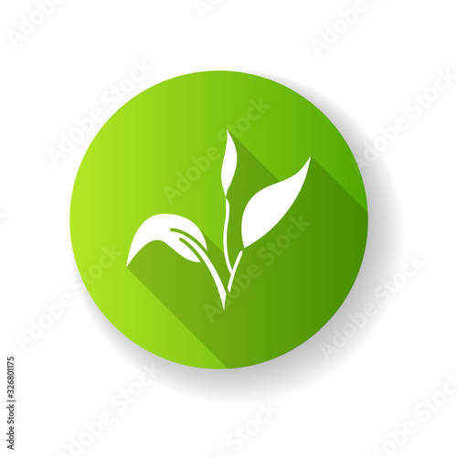 Tea tree green flat design long shadow glyph icon. Skincare product component. Organic beauty. Aromatherapy. Herbal moisture. Essential oil. Foliage, leaves. Silhouette RGB color illustration