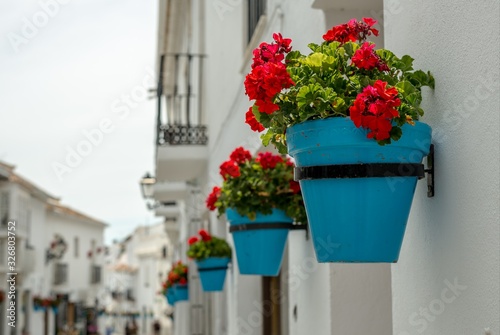 flowers in pots on street in italy