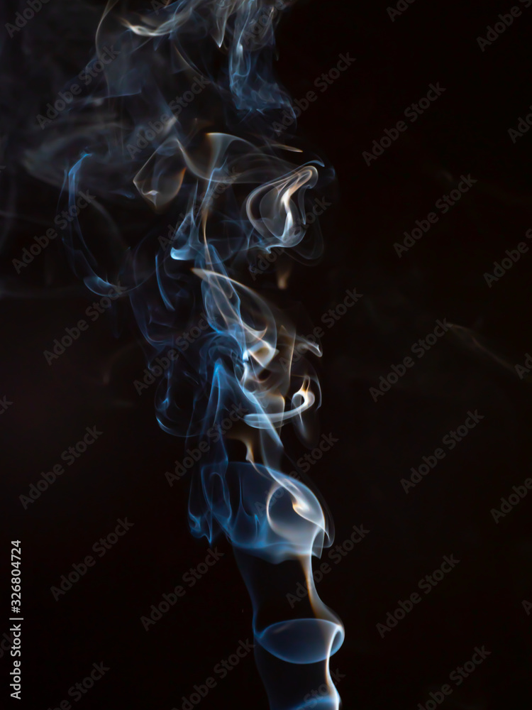 Fototapeta premium OLYMPUS DIGITAL CAMERA