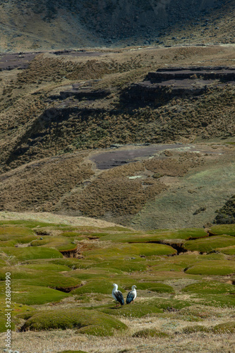 National Park Huascaran Peru South America Andes. Mataraju Jungay. Cordillera Blanca photo