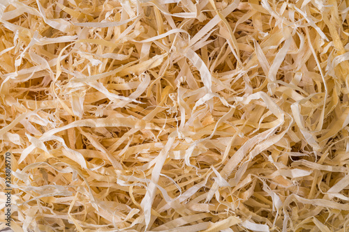Abstract wood shavings background. Wooden sawdust in texture detail. Closeup of long thin strips of woodworking waste tangled on pile. By-product of planing, milling or drilling. Carpentry or joinery.