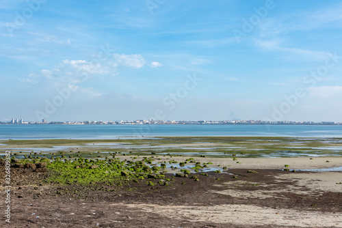 Bahía de Cádiz, al fondo el municipio de San Fernando, provincia de Cádiz, España. photo