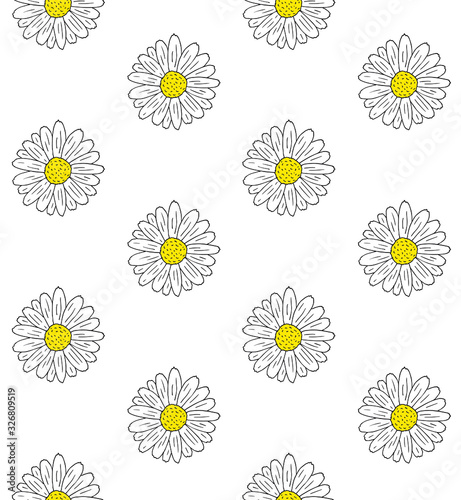 Vector seamless pattern of hand drawn doodle sketch daisy chamomile flower isolated on white background © Sweta