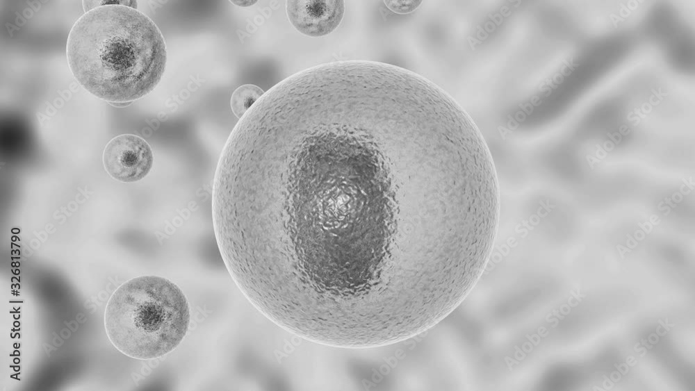 3D animation of process infecting living cell of pathogenic microorganism. Pathogenic microorganism divides inside the living cell then lyses the cell wall.