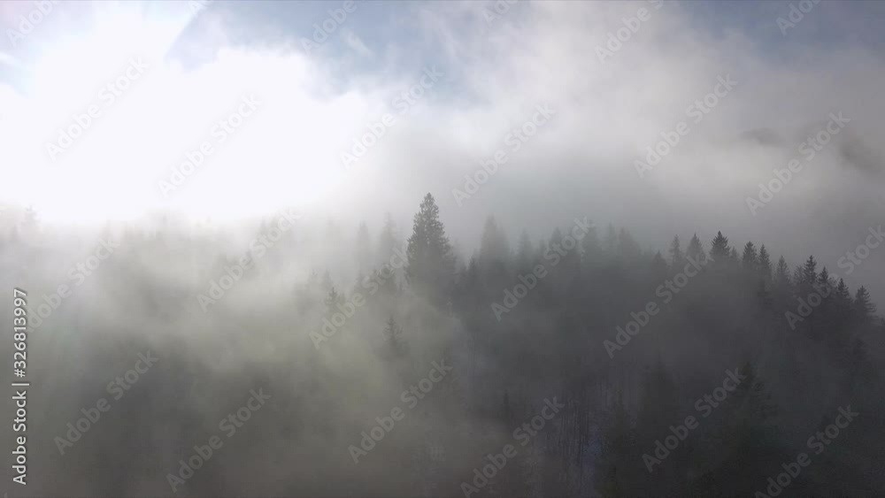 Winter mountain snowy forest in the clouds Winter mountain snowy forest in the clouds