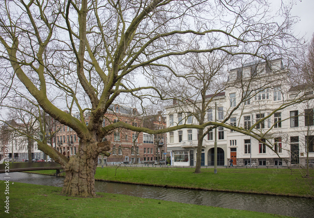 rotterdam cityscape