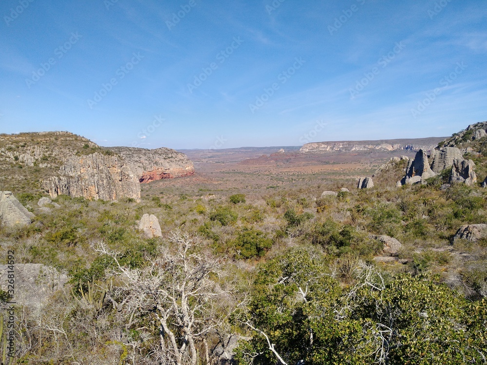 Fototapeta premium View of Caatinga in Brazil