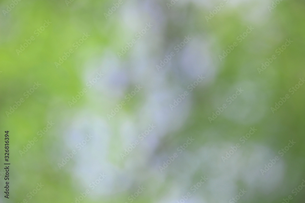 Bokeh green nature, Subtle background in abstract style for graphic design Bokeh green nature, Subtle background in abstract style for graphic design