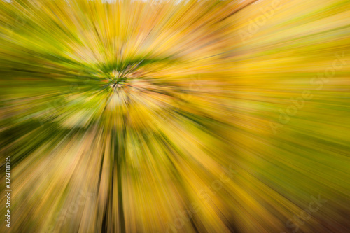 Abstract photo. Autumn forest on a bright sunny day. Colorful textured background. long shutter speed.