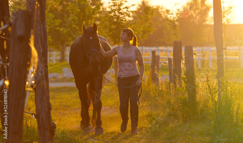 Young woman leading a horse by the reins and petting him on sunset