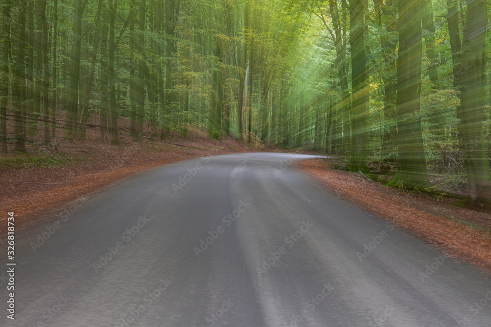 Obraz premium summar forest road on a bright sunny day. Abstract photo. Colorful textured background. long shutter speed.