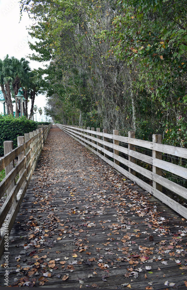 View of boardwalk with side rails with trees