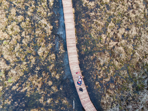 Aerial view of wooden walkway on the territory of Sestroretsk swamp, ecological trail path - route walkways laid in the swamp, reserve "Sestroretsk swamp", Kurortny District, Saint-Petersburg, Russia