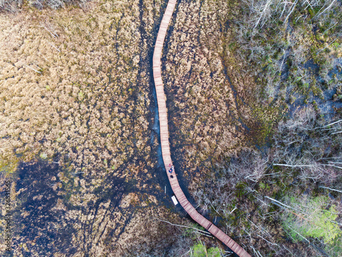 Aerial view of wooden walkway on the territory of Sestroretsk swamp, ecological trail path - route walkways laid in the swamp, reserve "Sestroretsk swamp", Kurortny District, Saint-Petersburg, Russia