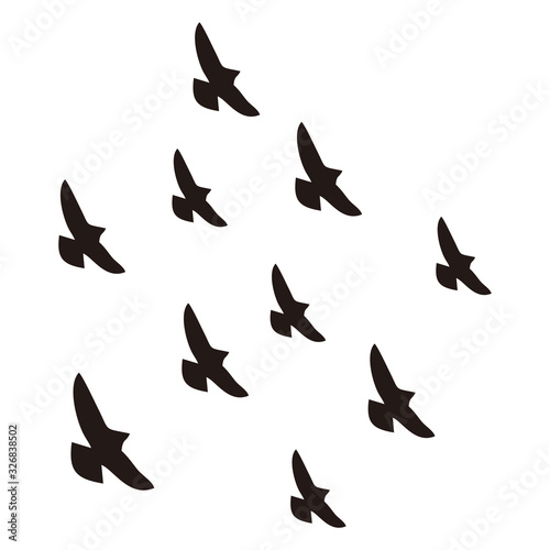 bird icon set, vector illustration  © arief