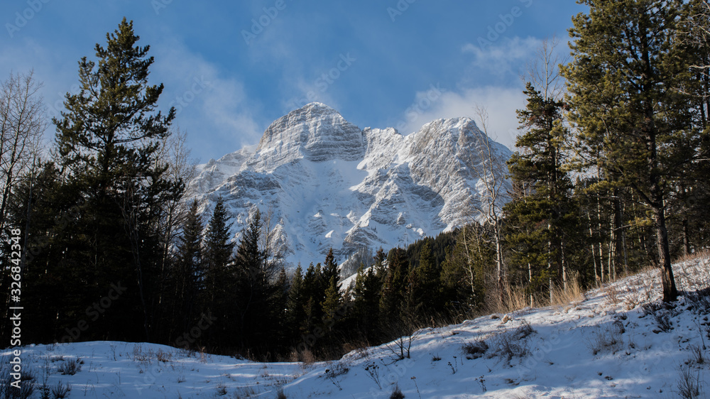 Fototapeta premium Snow covered Rocky Mountain peak in the forest beautiful Canada landscape