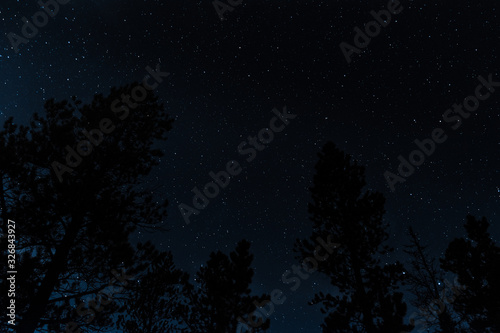 Stars in the night sky over the forest tree silhouette landscape 