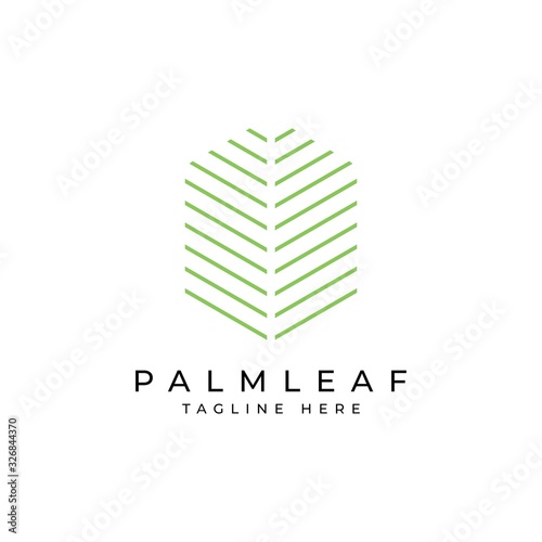 Palm leaf logo design template.luxury elegant palm tree symbol