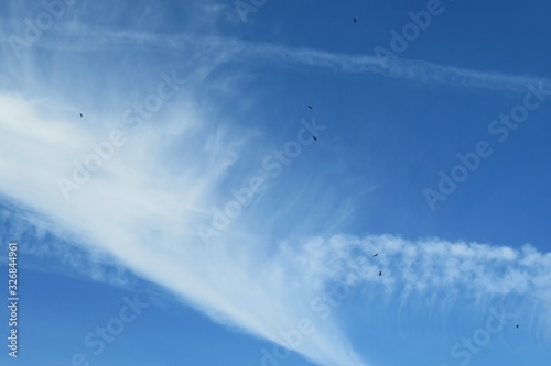 Beautiful fluffy cirrus clouds in blue sky, natural sky background © natalya2015
