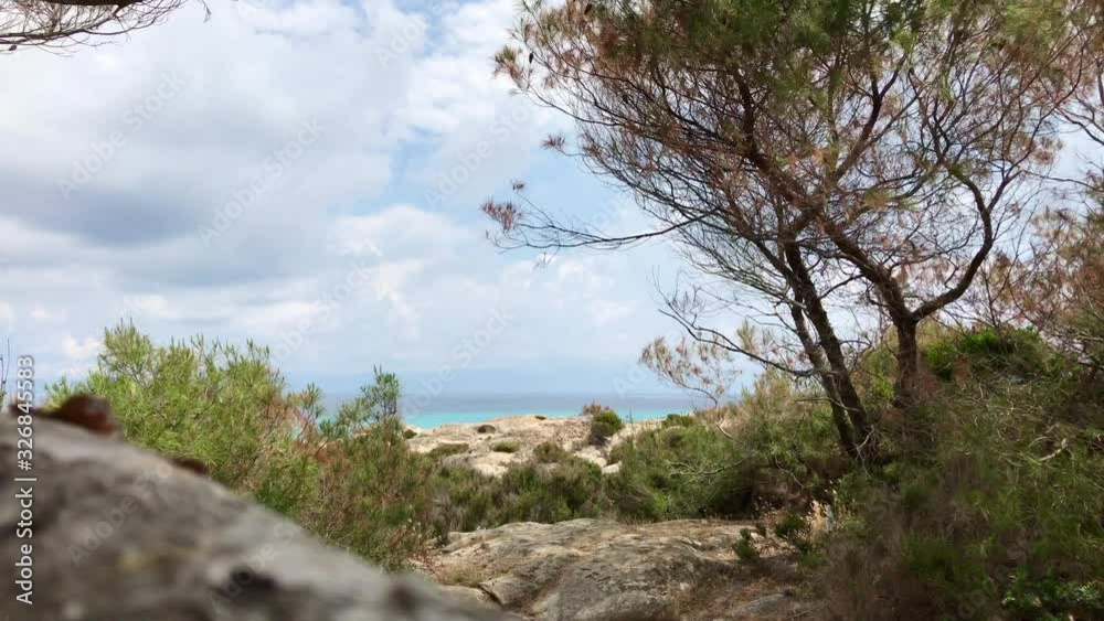 Scenic view on cyan Greek sea under Aleppo pines in 4k Scenic view on cyan Greek sea under Aleppo pines in 4k