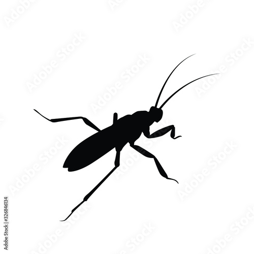 Hornet silhouette vector 