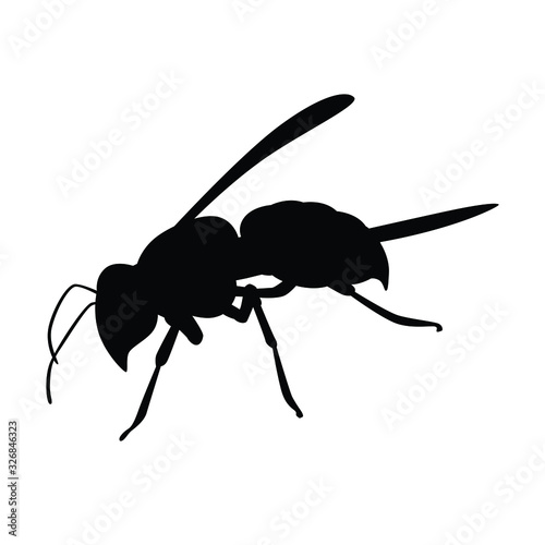 Hornet silhouette vector