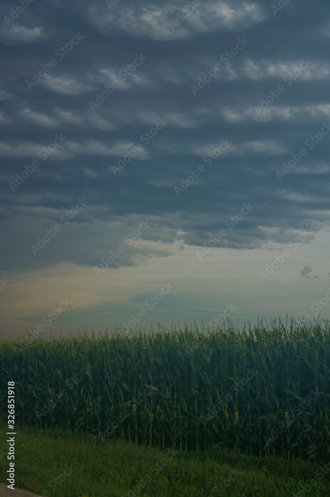 clouds and field