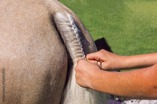 Girls hands plaiting the tail of a horse.