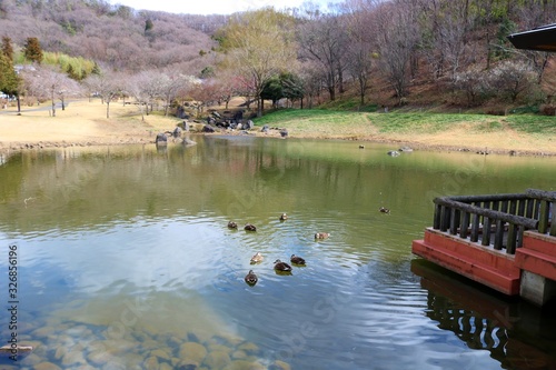 春 風景 池 のどか 栃木県 みかも山