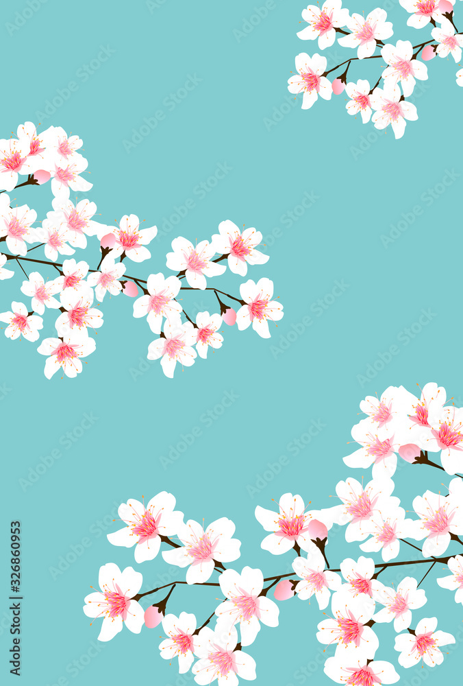 桜　春　花　背景