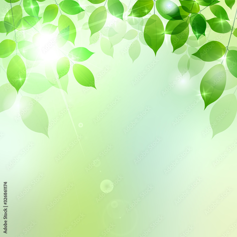 新緑 葉 緑 背景 Stock Vector Adobe Stock