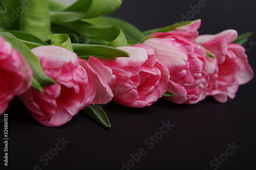 Yellow red tulips bouquet on black background